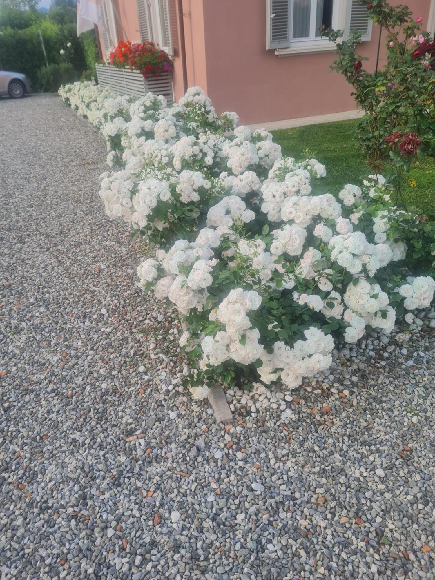 Il Buen Retiro Ξενοδοχείο Λούκα Εξωτερικό φωτογραφία